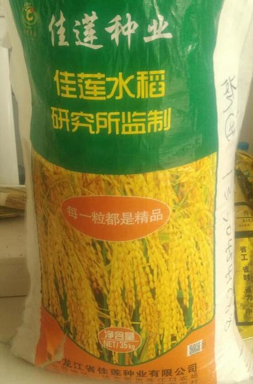 厂家批发水稻种子 特级水稻种子 农作物精品高产抗病强种子
